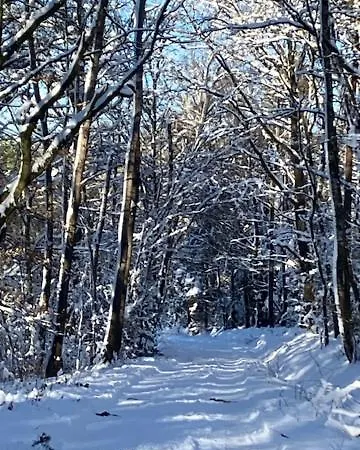 Haus Nr. 9 Ruppichteroth