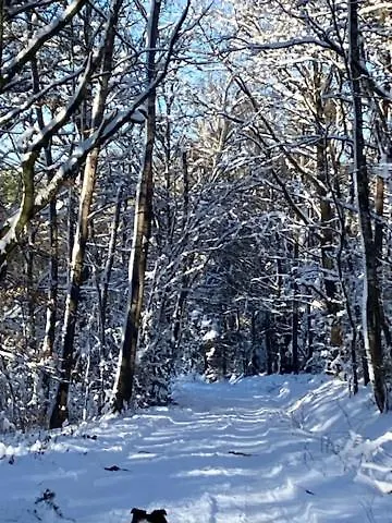 Haus Nr. 9 Ruppichteroth